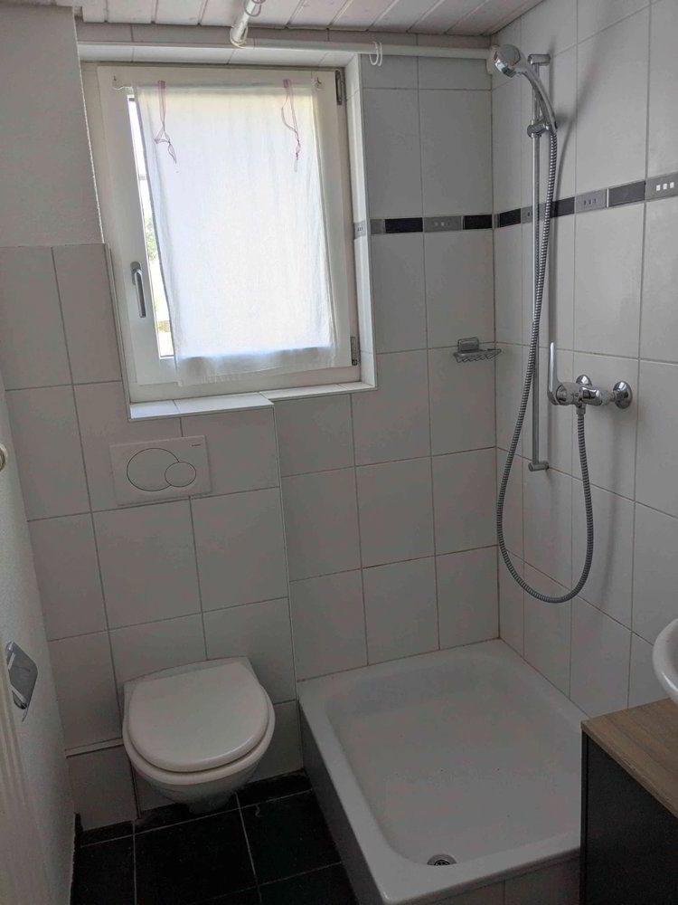 Appartamento di 2 locali in affitto a Wünnewil - immagine 1/6