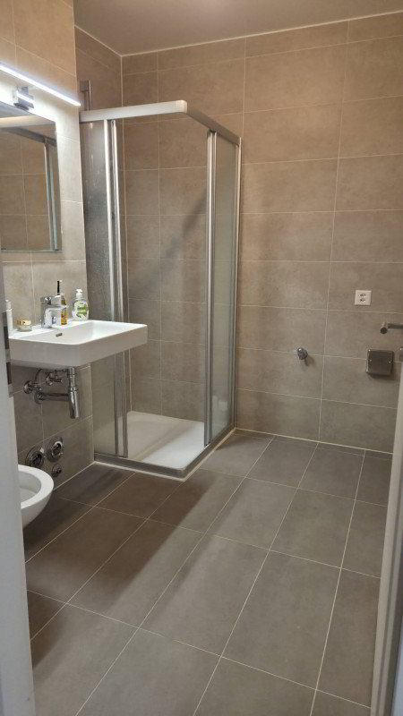 1 rooms Apartment for rent in Chavannes-près-Renens - image 1/4
