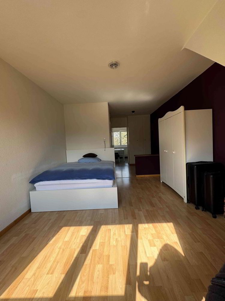 1.5 rooms Apartment for rent in Bern - image 1/8