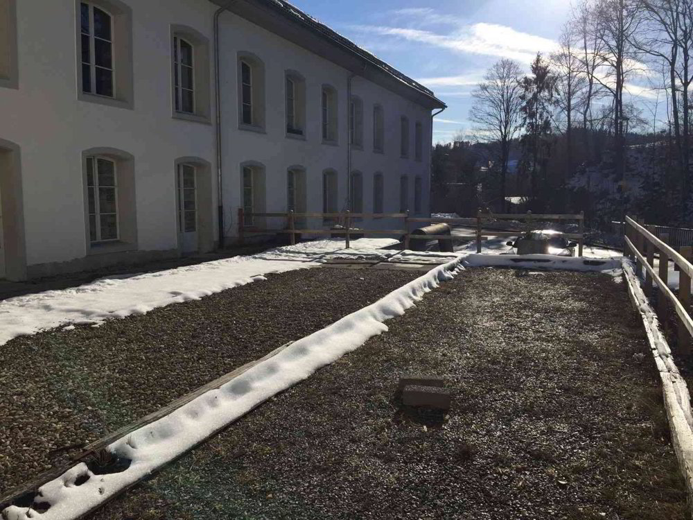 Ufficio & Commercio di 2 locali in affitto a Wald ZH - immagine 1/9