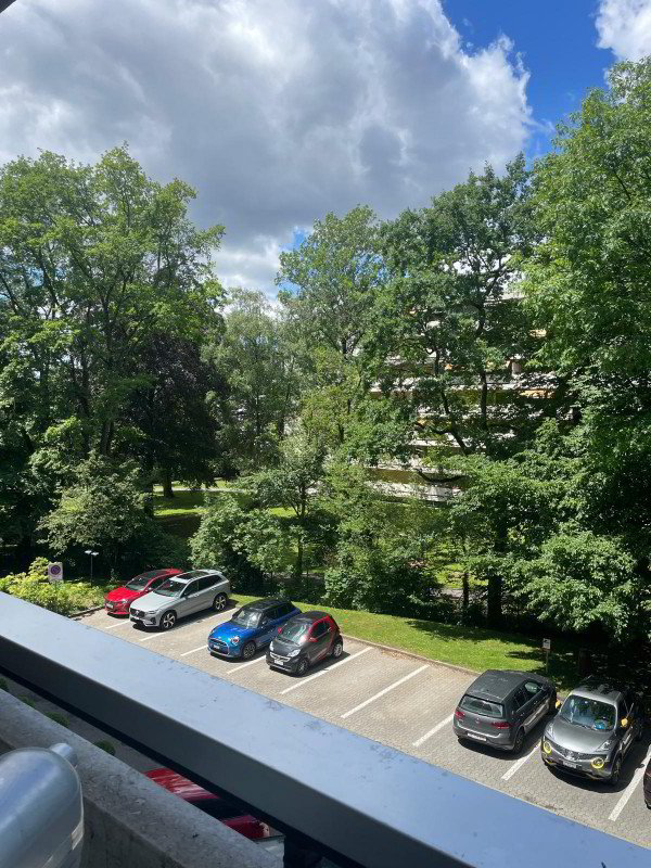 Appartamento di 4 locali in affitto a Chêne-Bougeries - immagine 1/12
