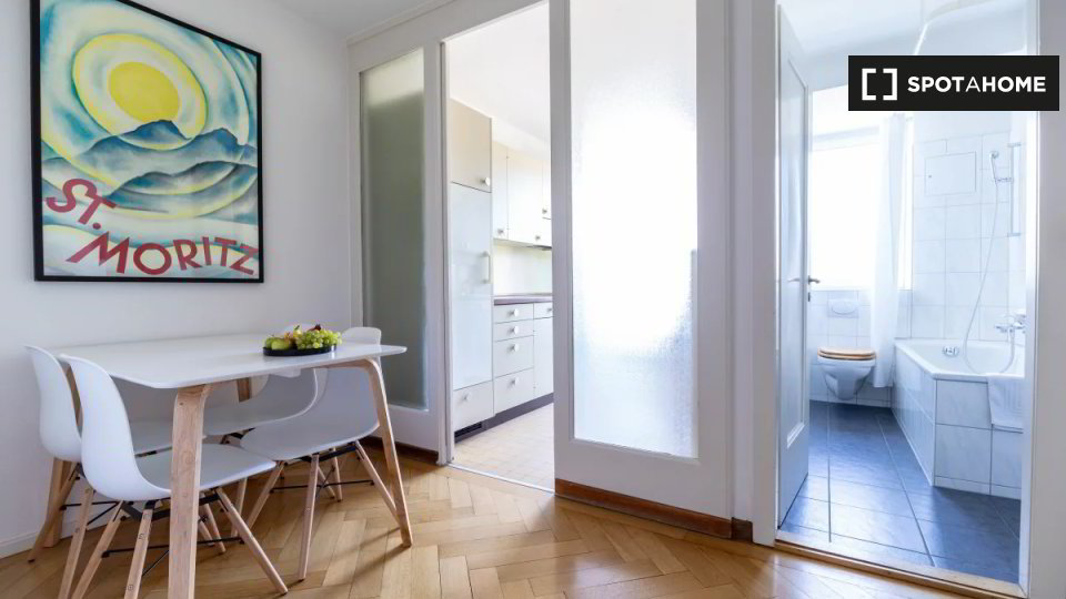 Appartement 1 pièces à louer à Zürich - image 1/6