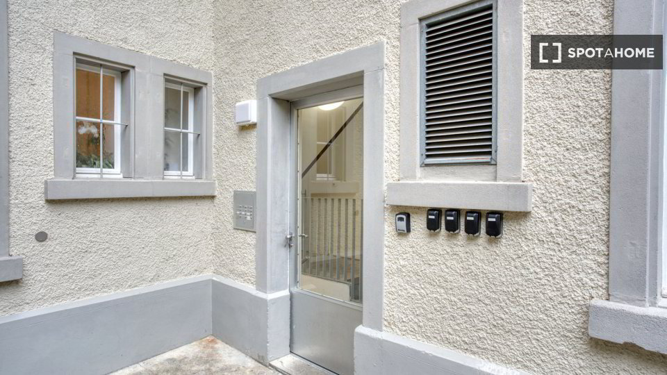 Appartamento di 1 locali in affitto a Horgen - immagine 1/13