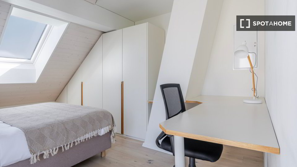 Appartamento di 2 locali in affitto a Zurich - immagine 1/13