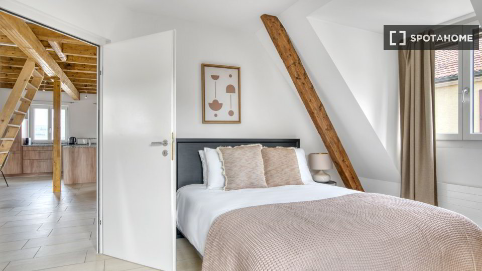 1 rooms Apartment for rent in Zurich - image 1/13