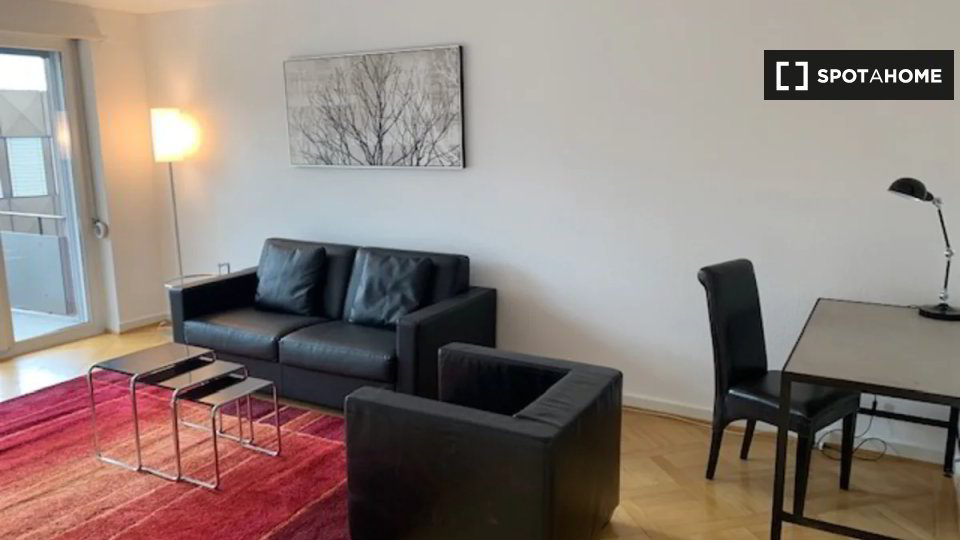 Appartement 1 pièces à louer à Zürich - image 1/13