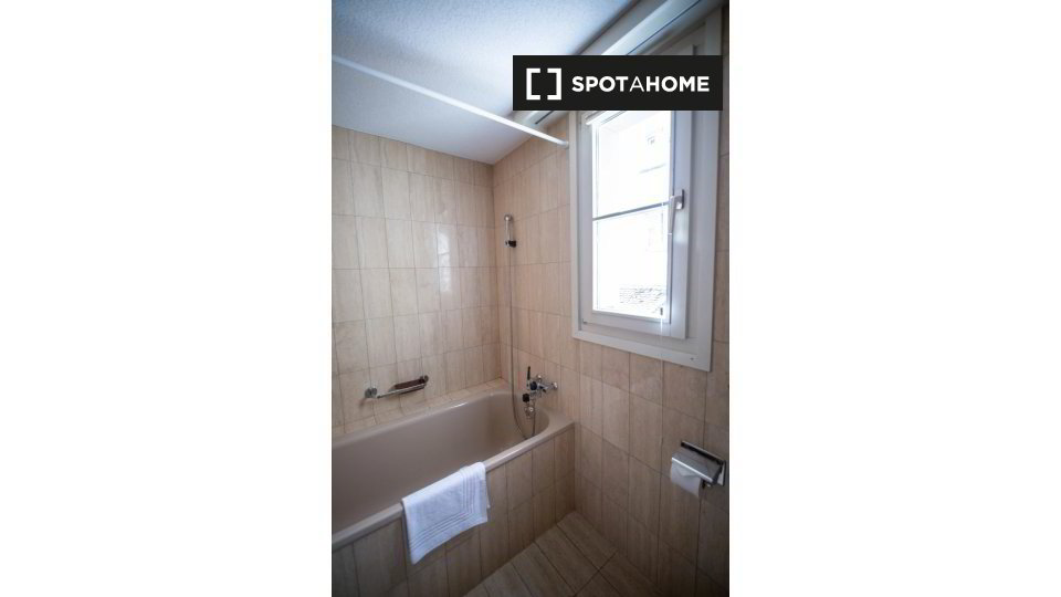 Appartement 2 pièces à louer à Zurich - image 1/13