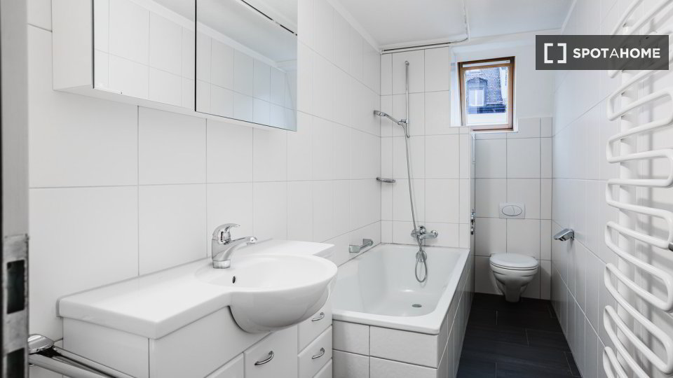 Appartement 2 pièces à louer à Zürich - image 1/13