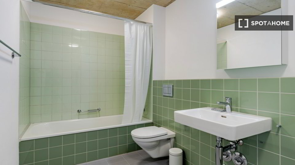 Appartement 2 pièces à louer à Zürich - image 1/13