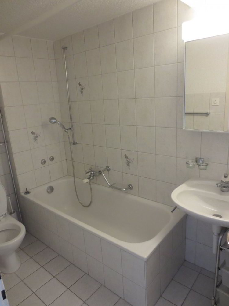 Appartamento di 2 locali in affitto a Basilea - immagine 1/9