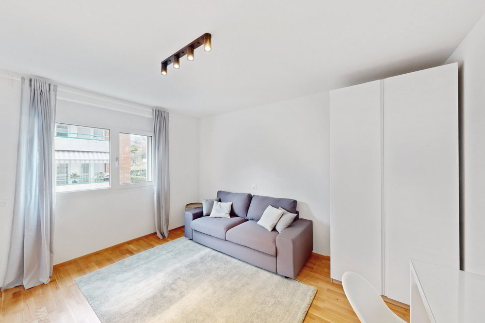 Appartement 1 pièces à louer à Pregassona - image 1/5