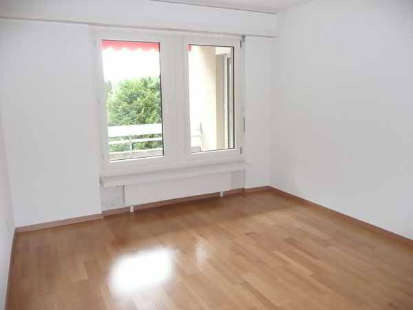 Appartement 2 pièces à louer à Birmensdorf ZH - image 1/6