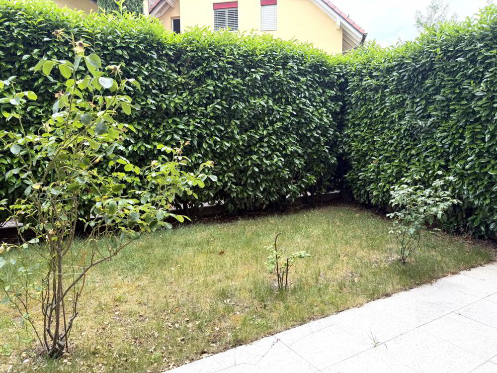 3 Zimmer Wohnung zu vermieten in Gland - Bild 1/9