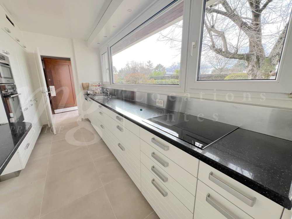 Maison 7 pièces à louer à Thônex - image 1/5