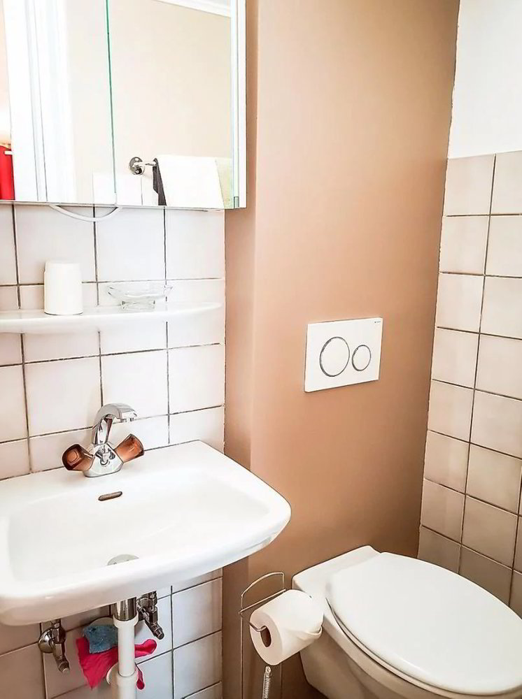 Appartement 1 pièces à louer à Vissoie - image 1/6