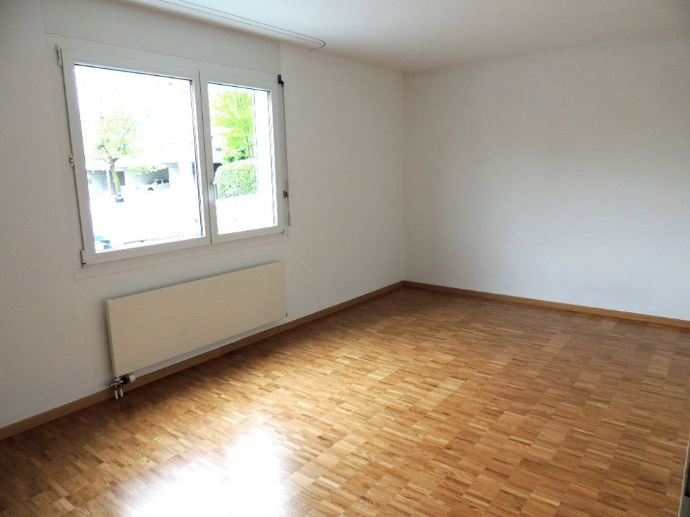 Appartamento di 2.5 locali in affitto a Volketswil - immagine 1/5