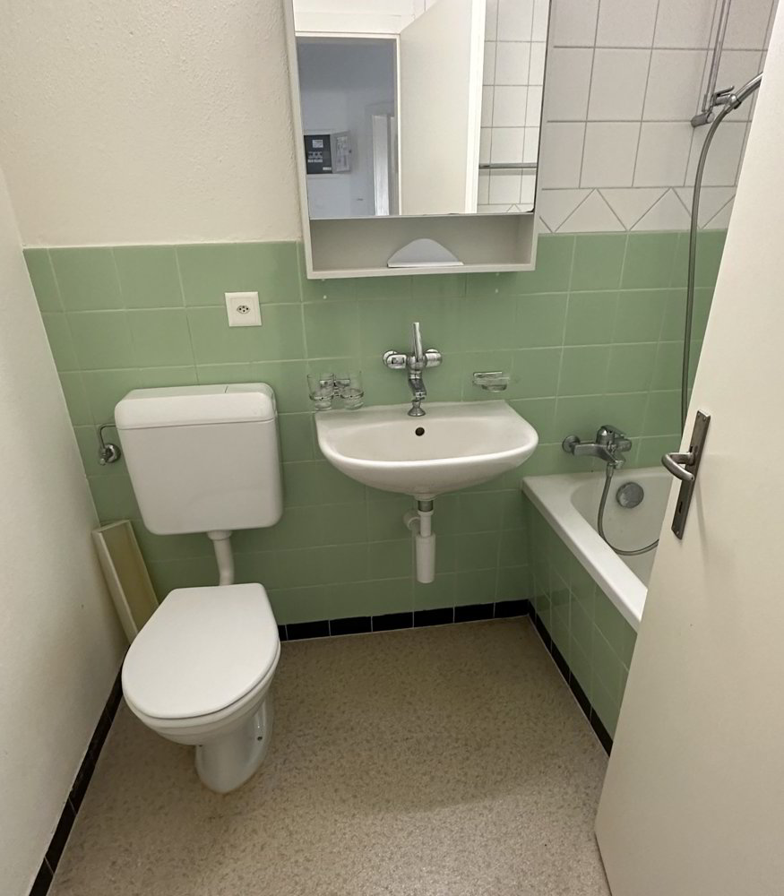 3 rooms Apartment for rent in Feuerthalen - image 1/5