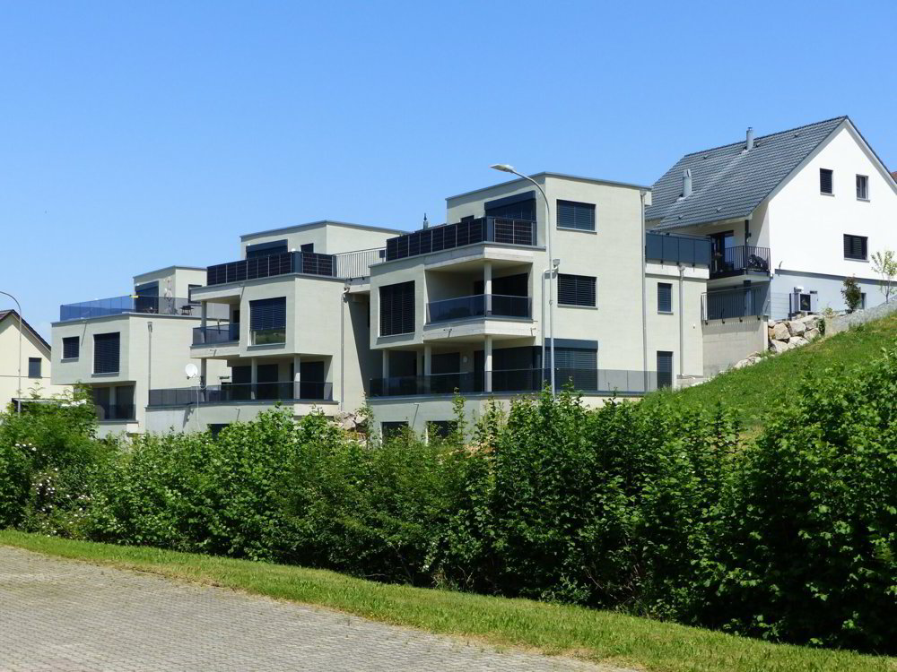 5.5 Zimmer Wohnung zu vermieten in Gansingen - Bild 1/17