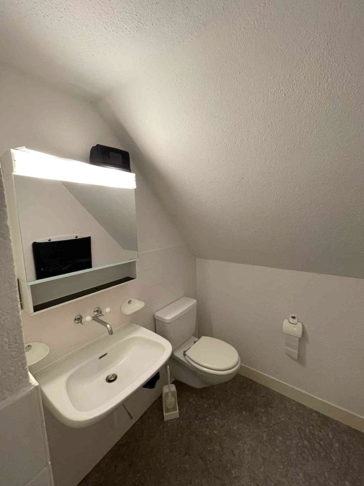 Appartement 1 pièces à louer à Neuhausen am Rheinfall - image 1/5