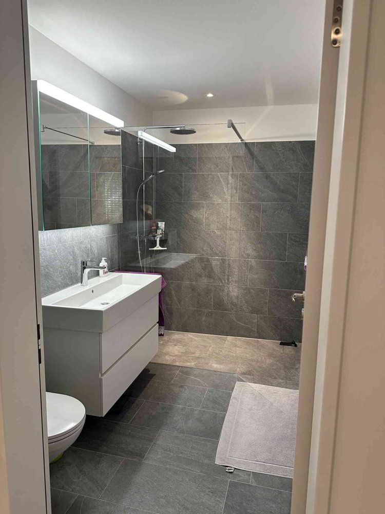 4.5 rooms Apartment for rent in Winterthour - image 1/10