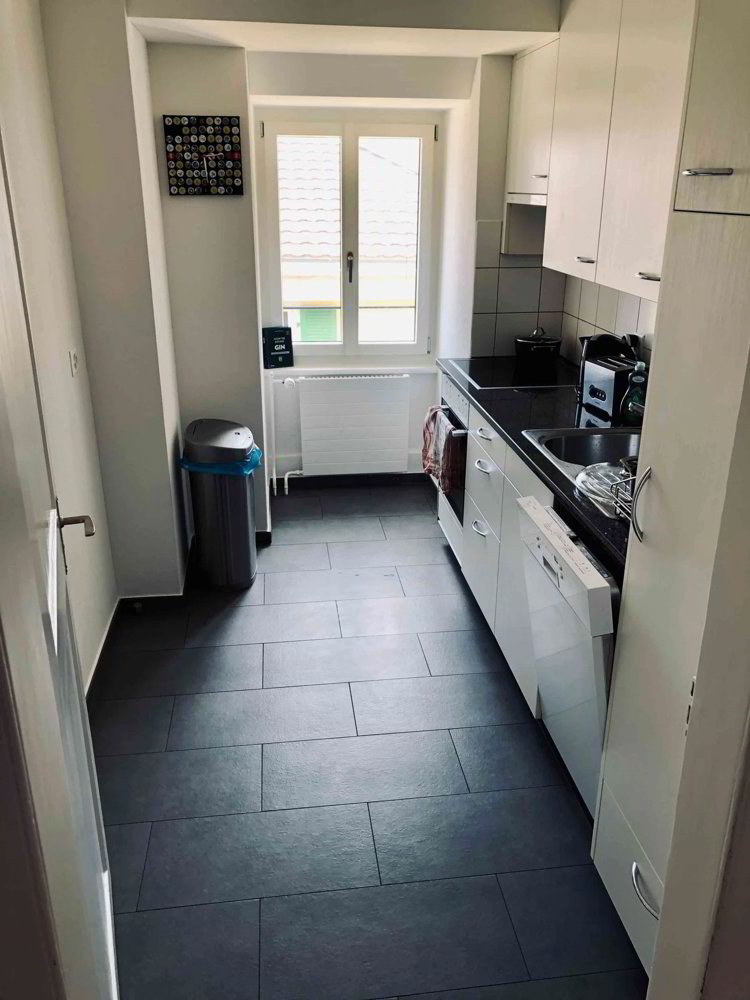 Appartement 3.5 pièces à louer à Luzern - image 1/8