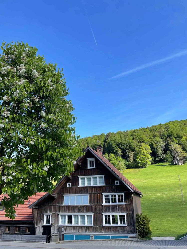 6 Zimmer Haus zu vermieten in Grub AR - Bild 1/8