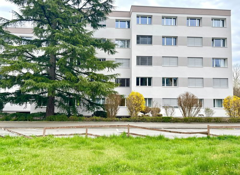 3 Zimmer Wohnung zu vermieten in Nyon - Bild 1/13