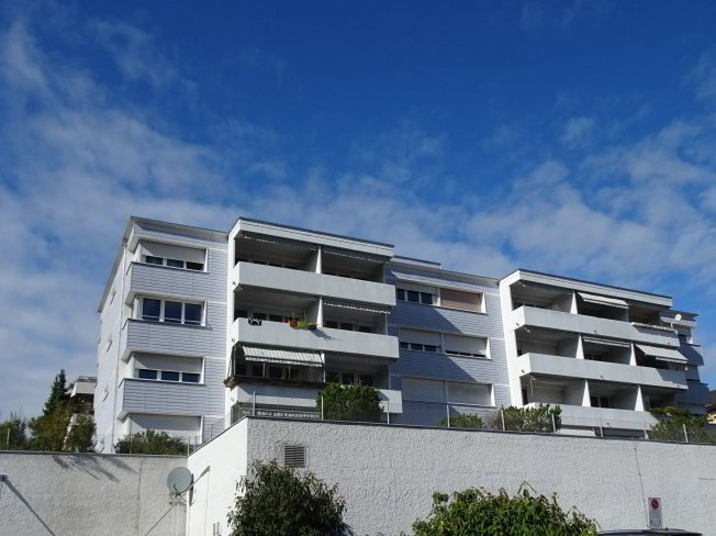 2 Zimmer Wohnung zu vermieten in Opfikon - Bild 1/1