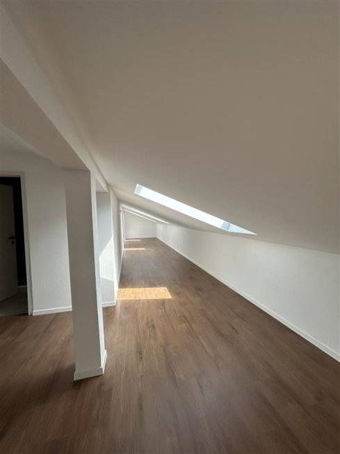 Appartement 1 pièces à louer à Küssnacht am Rigi - image 1/1