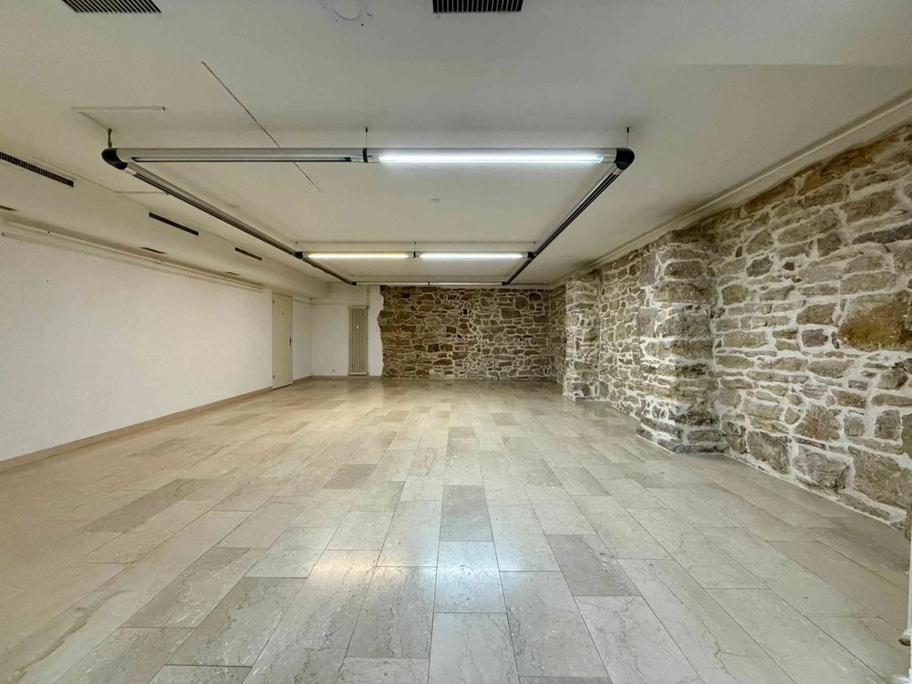 1 rooms Office & Commercial for rent in Basilea - image 1/3