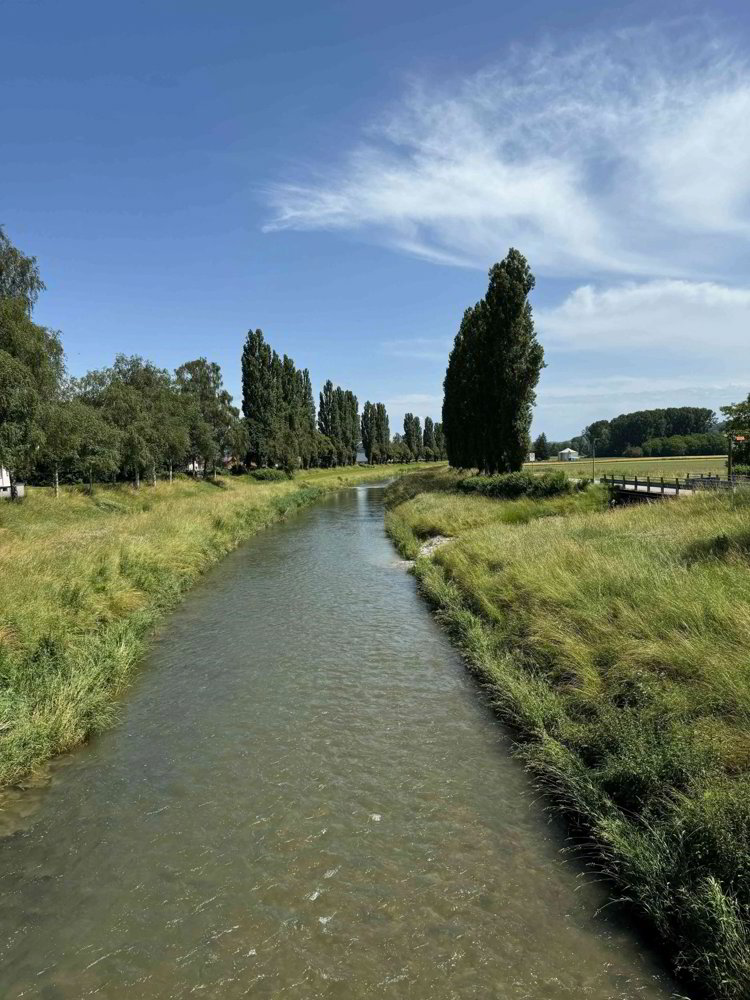 4.5 Zimmer Wohnung zu vermieten in Granges-près-Marnand - Bild 1/9