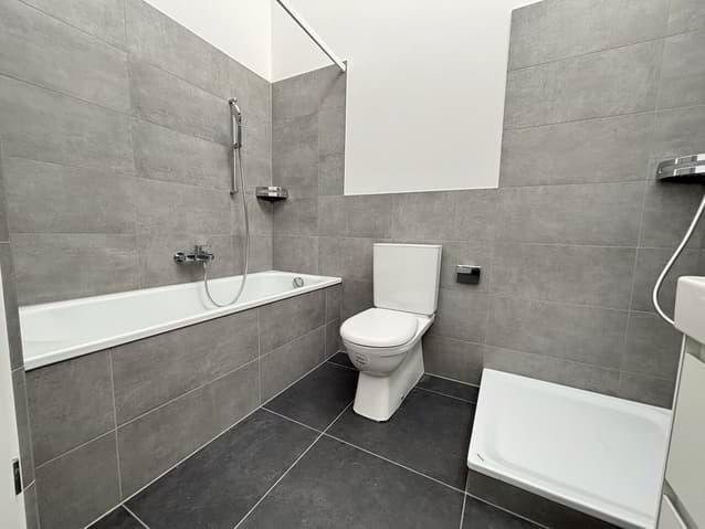 4.5 rooms House for rent in Pieterlen - image 1/13