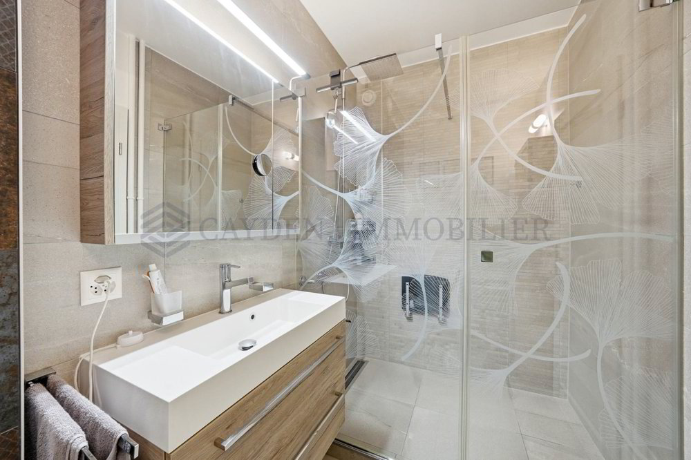 Appartement 4 pièces à acheter à Thônex - image 1/6