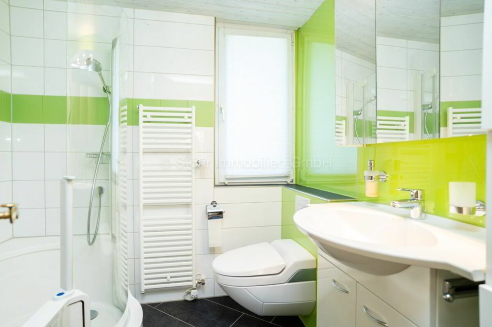 Casa di 4 locali in vendita a Winterthour - immagine 1/13
