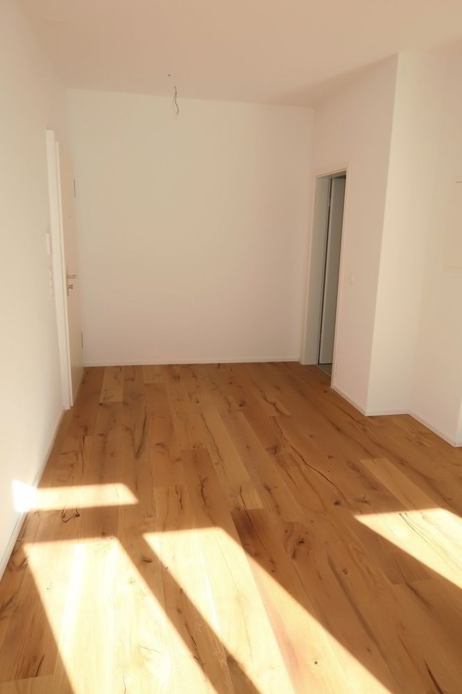 1 Zimmer Wohnung zu vermieten in St. Gallen - Bild 1/5