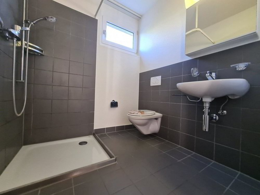 Appartement 4.5 pièces à louer à Uster - image 1/8