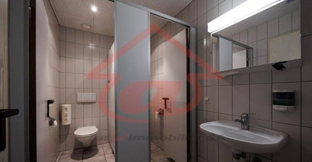null rooms Office & Commercial for rent in Delsberg - image 1/9