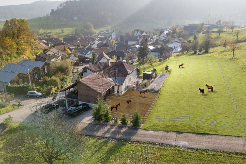 Maison 7.5 pièces à acheter à Büren SO - image 1/17