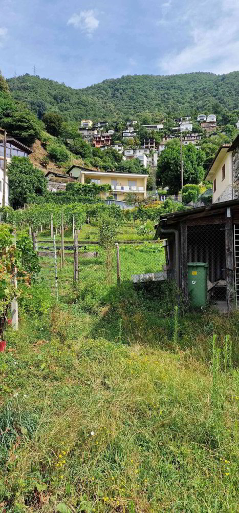 Terreno di null locali in vendita a Gordola - immagine 1/3