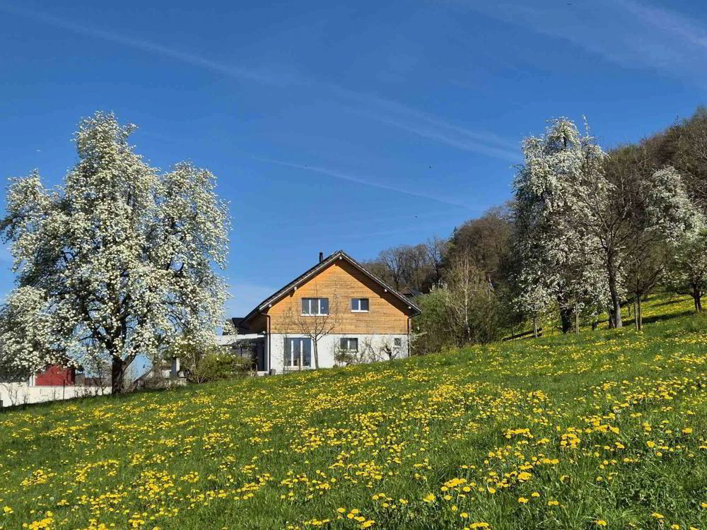 7.5 Zimmer Haus zum verkaufen in Altwis - Bild 1/13
