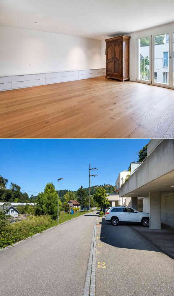 Appartement 3.5 pièces à acheter à Duggingen - image 1/9