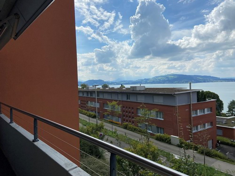 Appartamento di 2 locali in affitto a Zugo - immagine 1/6