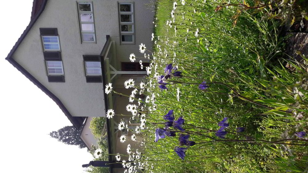 Appartement 4.5 pièces à louer à Gossau SG - image 1/8