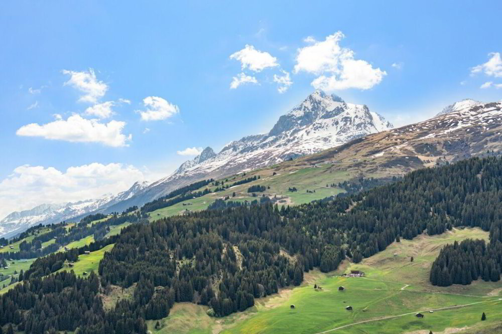 2 rooms House to buy in Ilanz - image 1/13