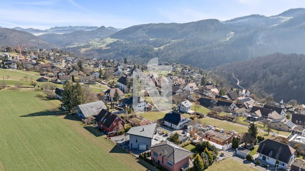 Maison 4 pièces à acheter à Liesberg Dorf - image 1/13
