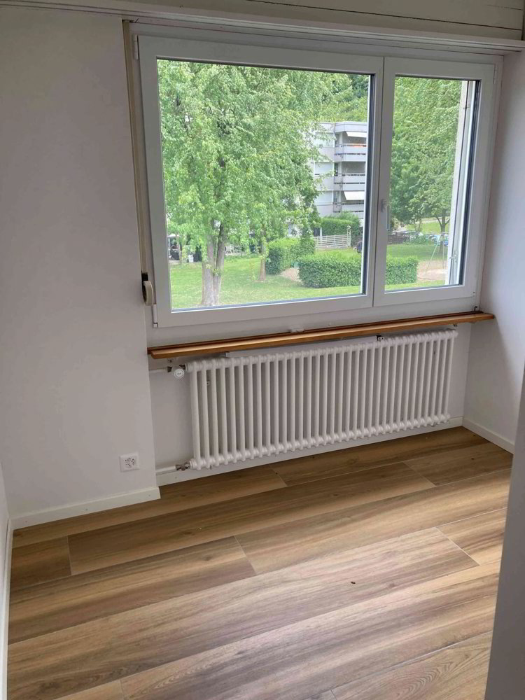 Casa di 5.5 locali in affitto a Schönenwerd - immagine 1/13