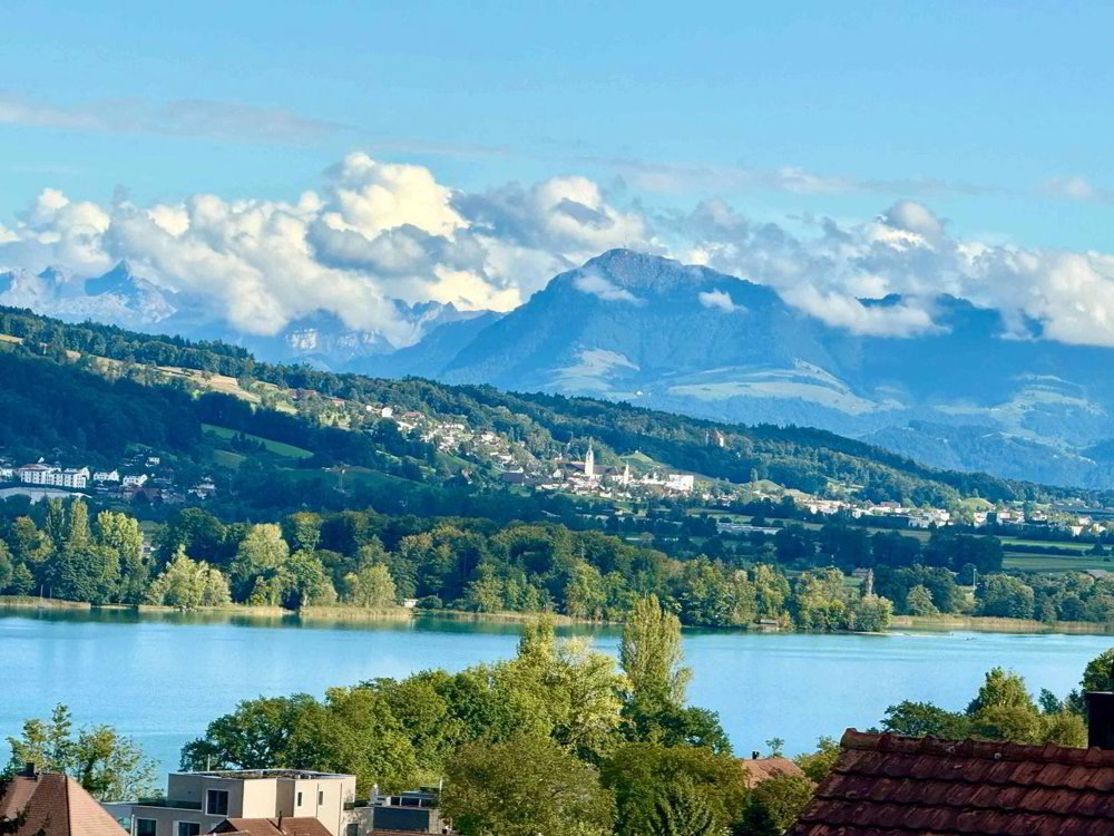 Maison 7.5 pièces à acheter à Beinwil am See - image 1/6
