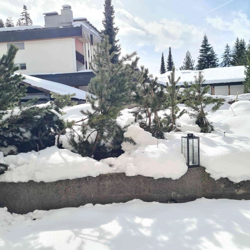 Appartement 1.5 pièces à acheter à Laax GR - image 1/10
