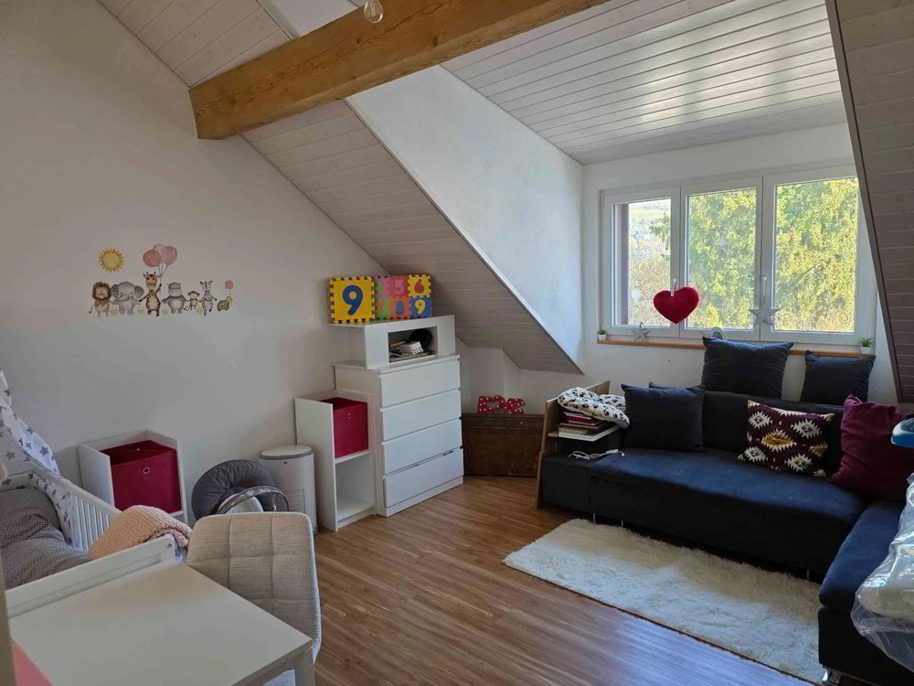 3.5 Zimmer Wohnung zu vermieten in Wagenhausen - Bild 1/9