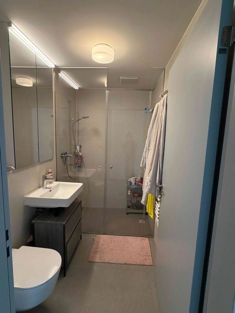 Appartement 4.5 pièces à louer à Boniswil - image 1/11